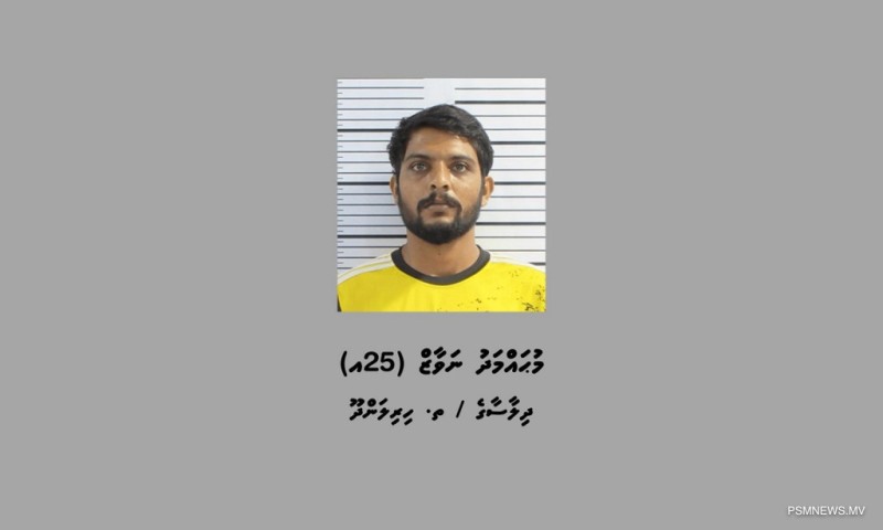 ވަންދުއަށް މަސްތުވާތަކެތި އެތެރެކުރަން އުޅުނު ފުލުހަކު ހައްޔަރުކޮށްފި