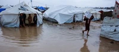 ގަދަ ފިންޏާއި ހައިހޫނުކަމުގައި ޣައްޒާގެ ގިނަ އަދަދެއްގެ ތުއްތު ކުދިން މަރުވަނީ