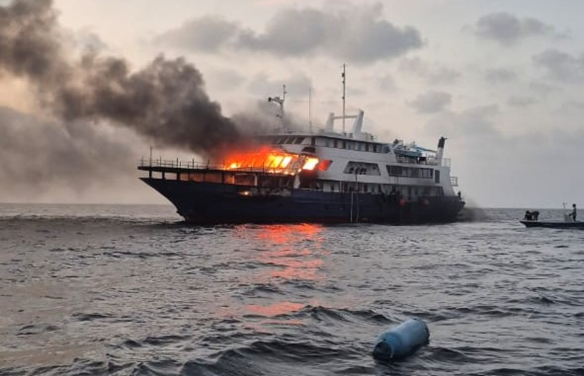 ސަފާރީއެއްގައި އަލިފާން ރޯވެ، އަނދަނީ