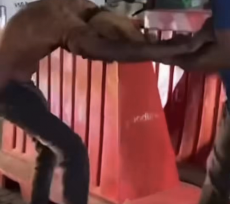 ވައްކަންކުރި ކަމަށް ތުހުމަތުވާ މީހާއަށް އަނިޔާކޮށް މޫދަށް އެއްލާލުމަކީ ލާއިންސާނީ އަމަލެއް: އެޗްއާރްސީއެމް