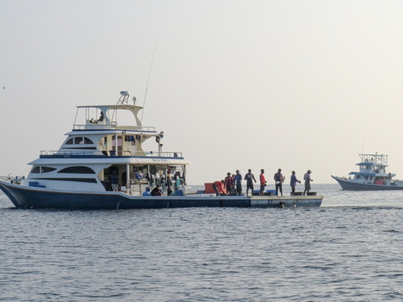 ދެމެހެއްޓެނިވި ގޮތެއްގައި މަސްވެރިކަން ތަރައްގީކުރާނެ މާސްޓާޕްލޭނެއް އެކުލަވާލަން ޚިޔާލު ހޯދަނީ