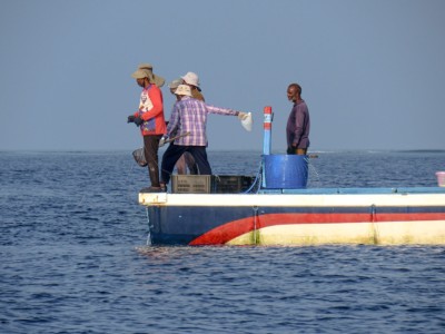 ދެމެހެއްޓެނިވި ގޮތެއްގައި މަސްވެރިކަން ތަރައްގީކުރާނެ މާސްޓާޕްލޭނެއް އެކުލަވާލަން ޚިޔާލު ހޯދަނީ
