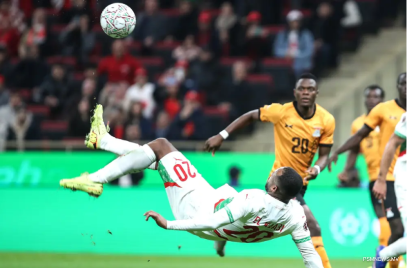 އެފްރިކާ ކަޕުގައި ފޯރިއެއްނެތް: ދެކުނު އެފްރިކާ ކޯޗު