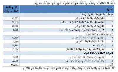 އޭދަފުށީ ކައުންސިލްގެ 2024 ވަނަ އަަހަރުގެ އޮޑިޓް ރިޕޯޓު