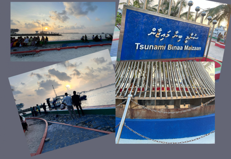 ސުނާމީގެ ހަނދާނުގައި ހެދި ބިނާ ދަބަރަށްވެ، މައިޒާން ވީރާނާވެފައި