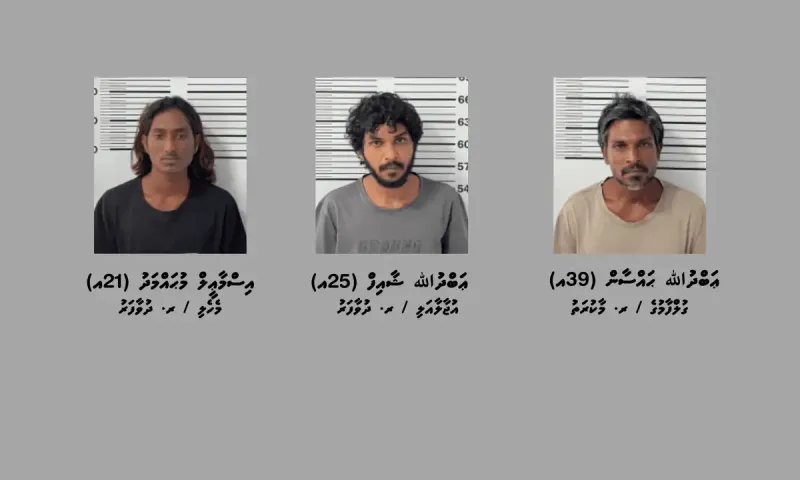 ފަތާފައި ގޮސް ދުވާފަރަށް މަސްތުވާތަކެތި އެތެރެ ކުރަން އުޅުނު މައްސަލާގައި ހައްޔަރުކުރި ތިން މީހުންގެ ވަނަވަރު އާއްމު ކޮށްފި