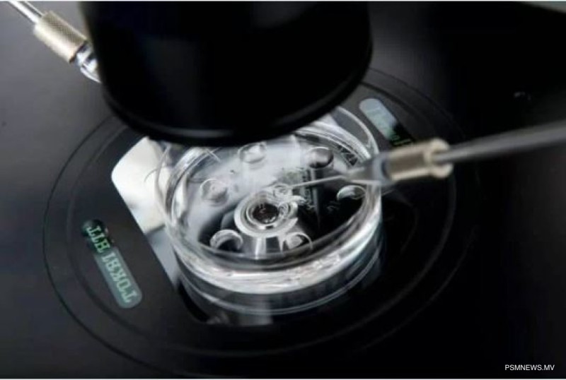 އަގުބޮޑު އައިވީއެފް ފަރުވާ މިއަދު ހިލޭ: އޭގެ ނަތީޖާވެސް އެހާމެ ފޮނި