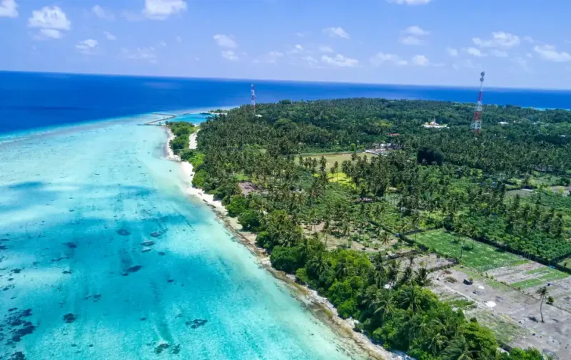 ތޮއްޑޫ އޮޑިޓް: ތޮއްޑޫ ލޯކަލް އޮތޯރިޓީ ކުންފުނި ވަނީ ބޮއްސުންލާފައި