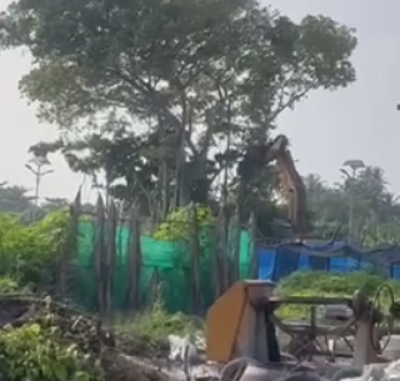 ނާވައިދޫގެ 90 އަހަރުވީ ސީދީބޭ ވަޅު ހިމާޔަތްކުރަން ނިކަގަހެއް ނަގަނިކޮށް ވަޅު ހަލާކުވެއްޖެ