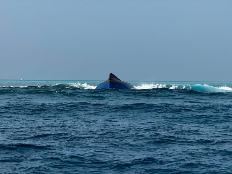 ބަންޑުން ޖަހާލި ދޯނިން ގެއްލުނީ ދިވެއްސަކާއި ބިދޭސީއެއް