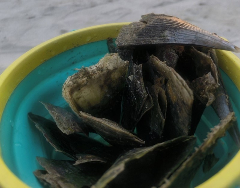 ގިނަ ބަޔަކު މޫދަށް އެރޭ ރަސްފަންނުގައި ތޫނު އިތާތަކެއް! ސަމާލުވޭ