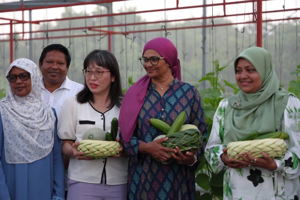 ވާދޫ ގްރީން ފާމްގައި ހައިޑްރޯޕޯނިކްސްގެ 12 ނިޒާމު ގާއިމުކޮށްފި