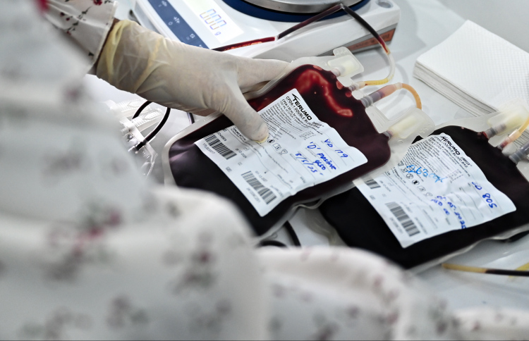 ތެލަސީމިއާ ކުއްޖަކު ލިބިދާނެ ކައިވެނިތައް ހުއްޓުވުމުގެ ބަހުސް