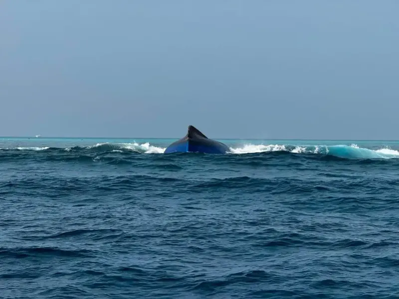 ކ. ވާދޫ ކައިރިއަށް ދޯންޏެއް ބަންޑުން ޖަހާލައި، ގެއްލުނު 2 މީހުންގެ ތެރެއިން އެކަކު މަރުވެފައި އޮއްވާ ފެނިއްޖެ