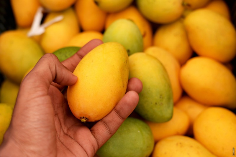 މާލޭގެ ގެއަކުން ވަގަށް 127 އަނބު ބިން މީހަކު ޖަލަށްލާން ހުކުމްކޮށްފި