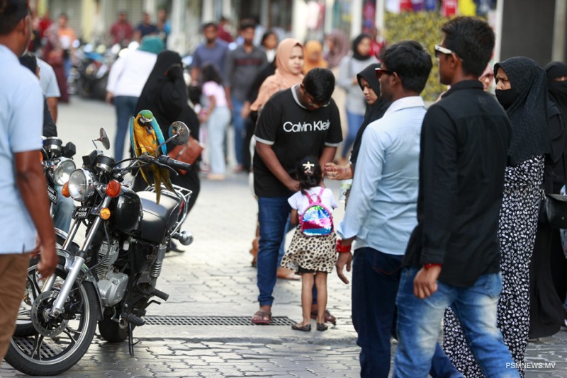 ބަލިތައް އިތުރުވާތީ ސަމާލުވާން އިލްތިމާސްކޮށްފި