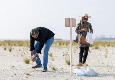 ގުޅިފަޅުން 41 ގޯތި މިއަދު ހަވާލުކޮށްފި