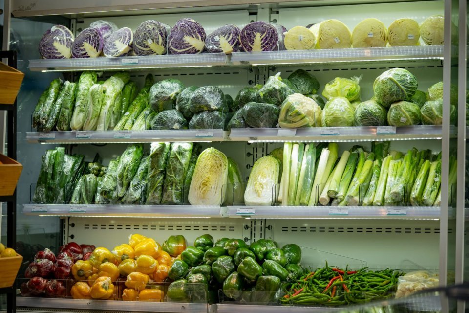 އެސްޓީއޯއަށް އަސާސީ 23 ބާވަތެއް ވިއްކުމަށް އެޖެންޓުން ހޯދަނީ