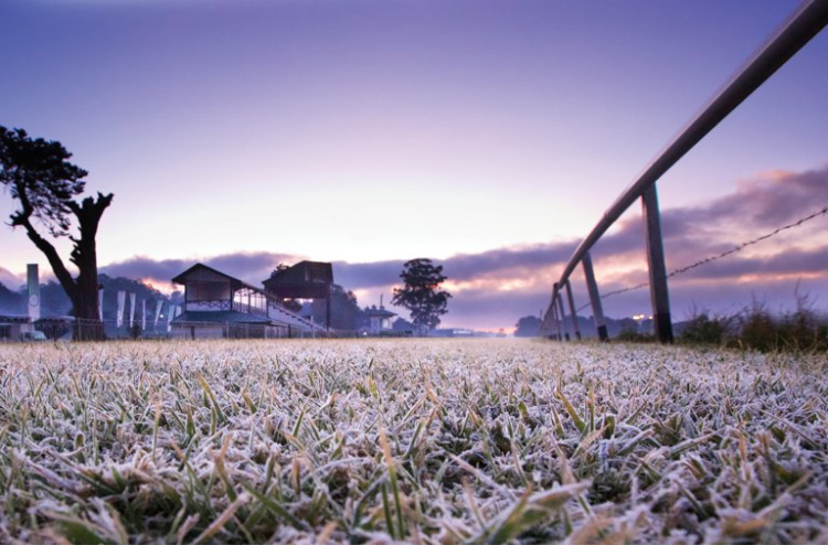 ފެން ގަނޑުވާ ވަރަށް ނުވަރަ އެލިޔާ އަށް ފިނިވެއްޖެ
