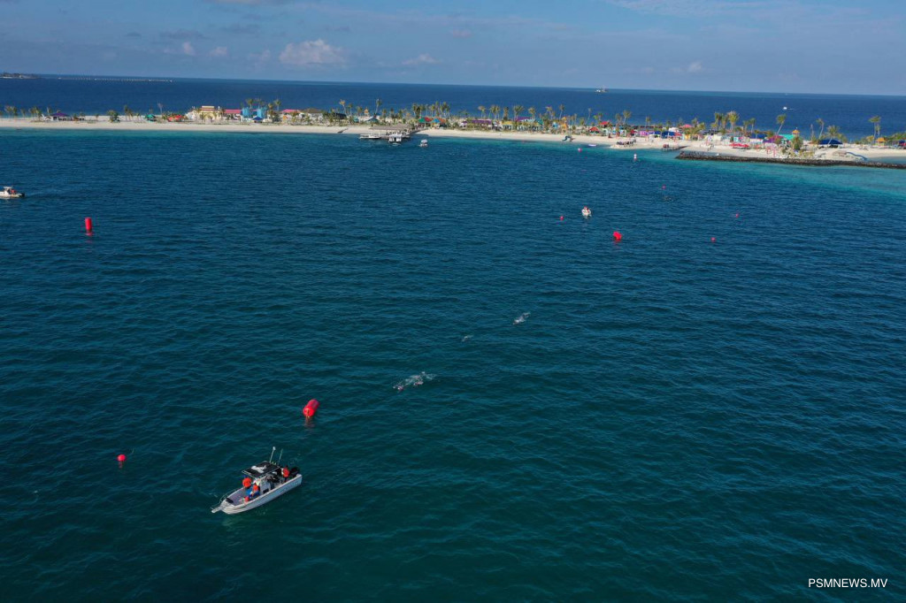 ޕިކްނިކް އައިލެންޑް ތަރައްޤީކުރުމަށް ކޮންސަލްޓަންޓުން ހޯދަނީ