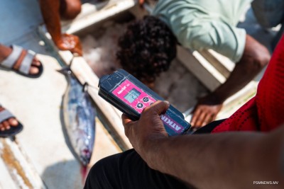 މިފްކޯއިން 10 ކިލޯއިން މަތީގެ ކަންނެލި ގަންނަން ފަށައިފި