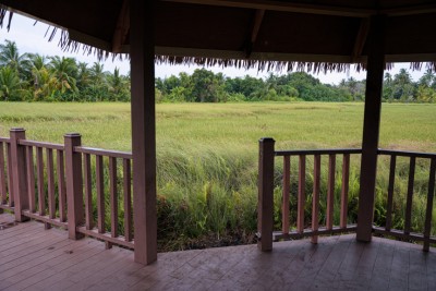 ފުވައްމުލަކުގެ މި ރީތިކަމަށް ވެސް ތަކުރާރުކޮށް ގެއްލުން ދެނީ