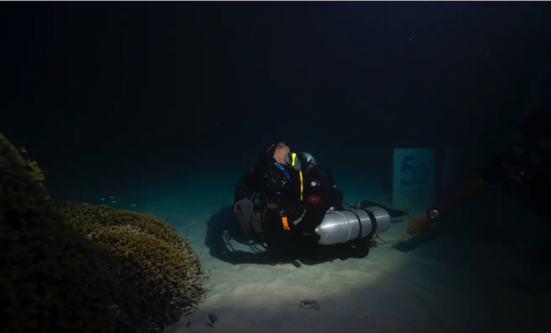 ޝަފްރާޒާއި ވިޒިޓް މޯލްޑިވްސް ގުޅިގެން ކަނޑު އަޑީގެ ރިކޯޑެއް ހަދަން ތައްޔާރުވެއްޖެ