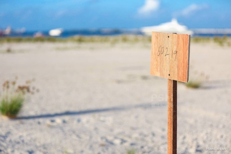 ފްލެޓާއި ގޯއްޗަށް 1 ދުވަސްތެރޭ 500އަށްވުރެ ގިނަ މީހުން ފޯމު ހުށަހަޅައިފި