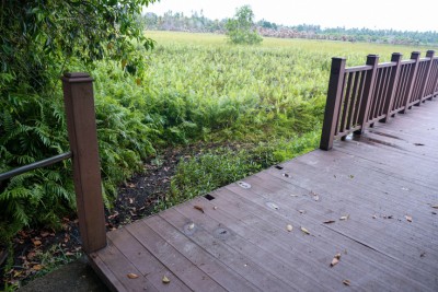 ފުވައްމުލަކުގެ މި ރީތިކަމަށް ވެސް ތަކުރާރުކޮށް ގެއްލުން ދެނީ