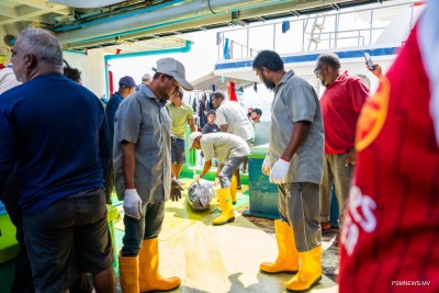 މިފްކޯއިން ބޮޑު ކަންނެލި ގަތުމަށް މިލިޔަނަކަށްވުރެ ގިނަ ރުފިޔާ ދޫކޮށްފި