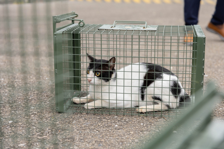 އަހަރަކު 10.8 މިލިއަން ރުފިޔާ ޚަރަދުވާ ބުޅާ ފެސިލިޓީ މާރާމާތު ކޮށްދޭނެ ބަޔަކު ހޯދަނީ 