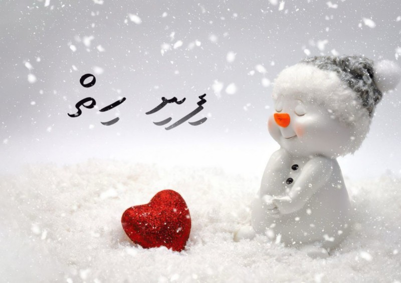 ފިނި ހިތް 11