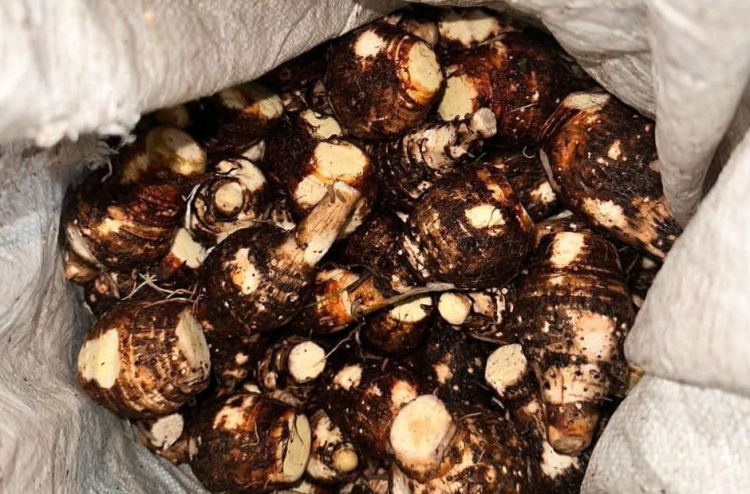 ވަޅޯމަސް، ބަށި، ބަރަބޯ އަދި ކެޔޮގަނޑަކަށް ފަހު އައްޑޫން މިފަހަރު ވަގަށް ނެގީ އަލަ ގޯންޏެއް