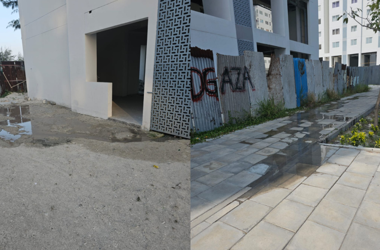 ފަހި ފްލެޓުތަކުގެ ޖަންކްޝަންތަކުން ނަޖިސް ލީކުވަނީ؛ އެފްޑީސީން ބުނީ ހައްލުކޮށްފިން ކަމަށް