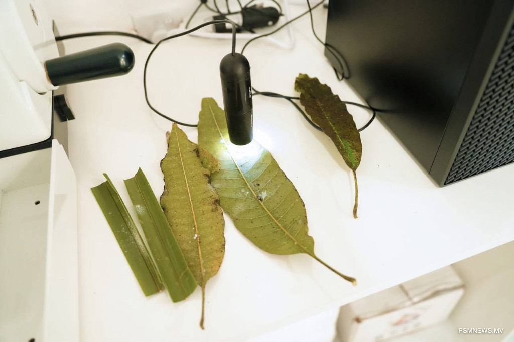 ދަނޑުވެރިކަމުގެ ގައުމީ ލެބޯޓަރީ ފުވައްމުލަކުގައި