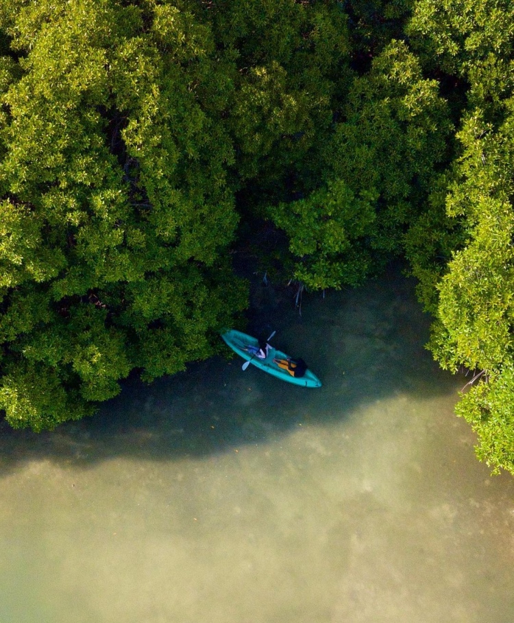 ހުރާގައި ގެސްޓް ހައުސް އަޅަން 17 ބިން ކުއްޔަށް ދޫކުރަނީ