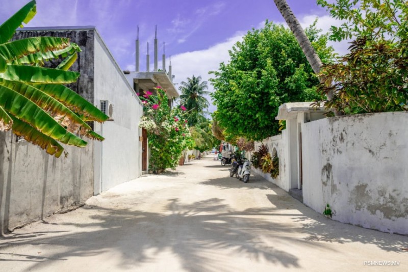 މަގުހެދުމަށް ތިމާވެއްޓާ ރައްޓެހި އައު ކޮންސެޕްޓެއް!