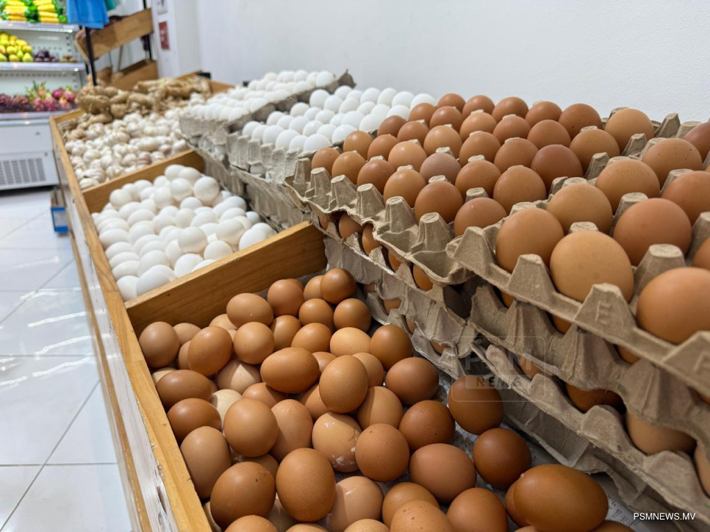 ރަމަޟާންމަހު 23 ބާވަތެއް ހުސްނުވެ ލިބޭނެކަން ކަށަވަރުކުރާނެ