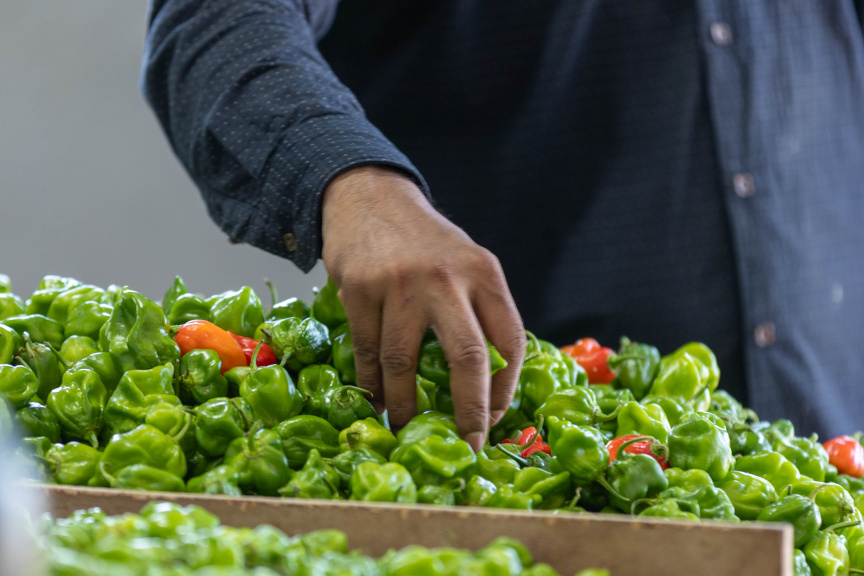 ރޯދަޔަށް ހަފުތާއެއް: ކަނޑޫދޫ މިރުހުގެ އަގު ދެ ގުނަ ބޮޑުވެއްޖެ