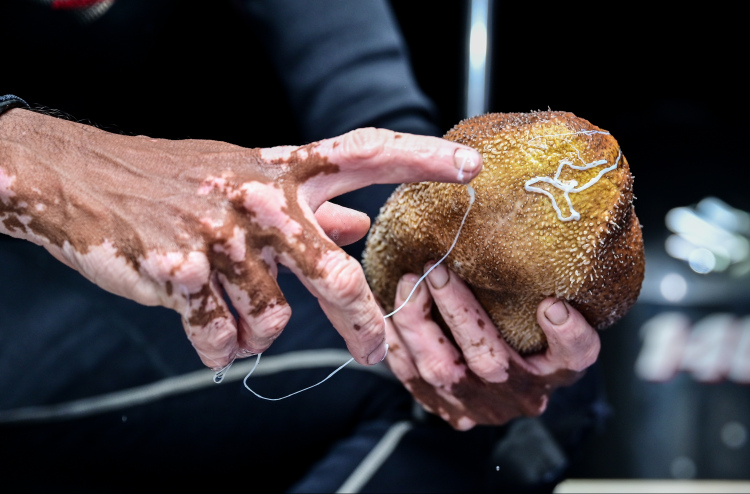 ނީލަންކިޔަނީ މައްސަލައެއްގައި ހިފެހެއްޓި ދެ މިލިއަން ރުފިޔާގެ ހުއިފިލަނޑާ، އެއީ ޕީޖީގެ ލަފަޔަށް: ޕޮލިސް