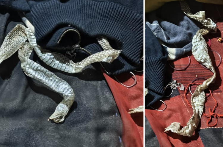 އިންޑިއާގައި "ހަރުފައަކަށް ބަދަލުވި" އަންހެނެއް ފެނުނީ ލޯބިވެރިޔާއާ އެކު އުޅެނިކޮށް