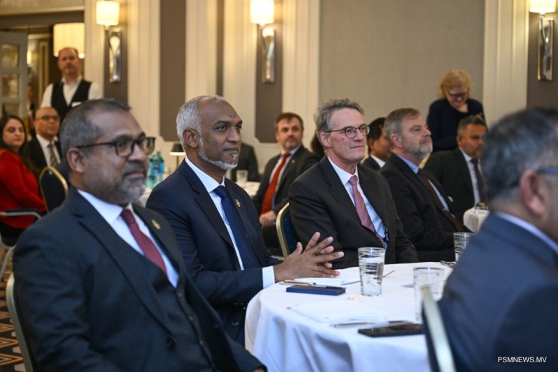 ރާއްޖެ، ޖަރުމަންގެ ގުޅުމަށް 60 އަހަރު ފުރުން ފާހަގަކުރުމަށް ޖާފަތެއް