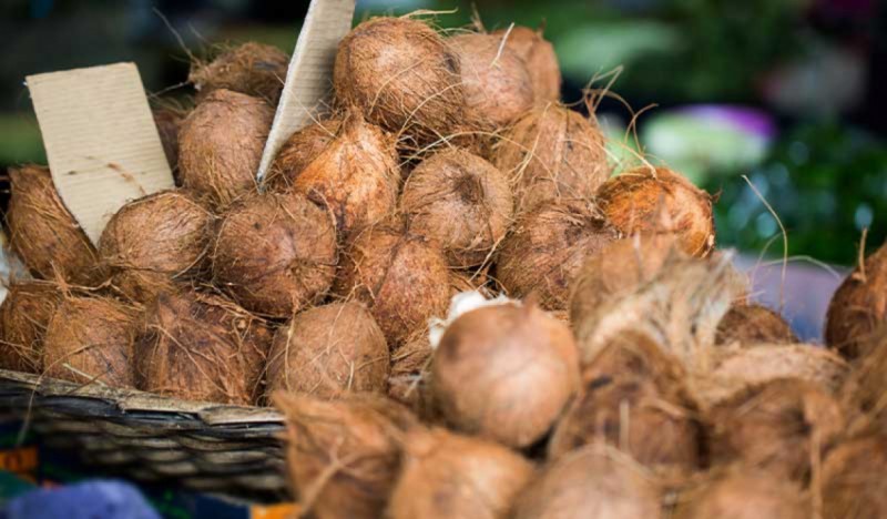 ދިރާގުން ހުޅުވާލަނީ ރޯދަމަހު "ކާށި ބިނދެގެން" ޗައިނާއަށް ދިއުމުގެ ފުރުސަތު