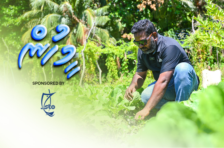 ޖަޒީރާ ދަނޑުވެރިޔާ: އެންމެން ގޮވައިގެން ވާޗުއަލް ދަނޑެއްގައި