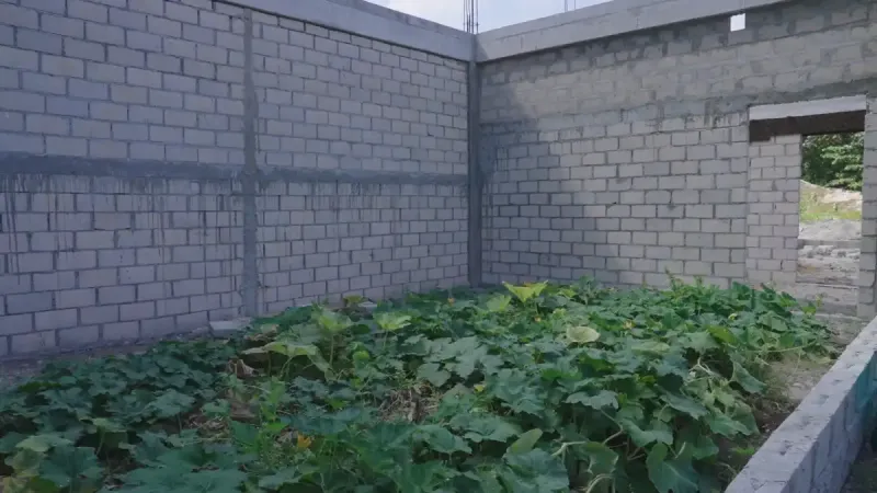 ވިލާކޮލެޖާއި ހަވާލުކޮށްގެން ކެނދިކުޅުދޫގައި ހަދާ ޖޫނިއަރ ކޮލެޖުގެ މަސައްކަތް ސަރުކާރު އައި ފަހުން އޮތީ ހުއްޓިފައި