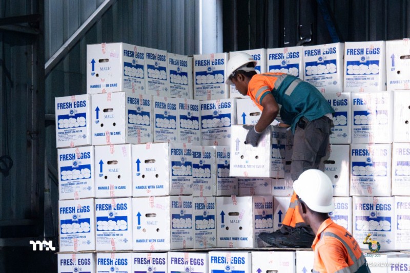 އެމްޕީއެލުން އެންމެ ގިނައިން ކްލިއަރކުރީ ކުކުޅު ބިސް