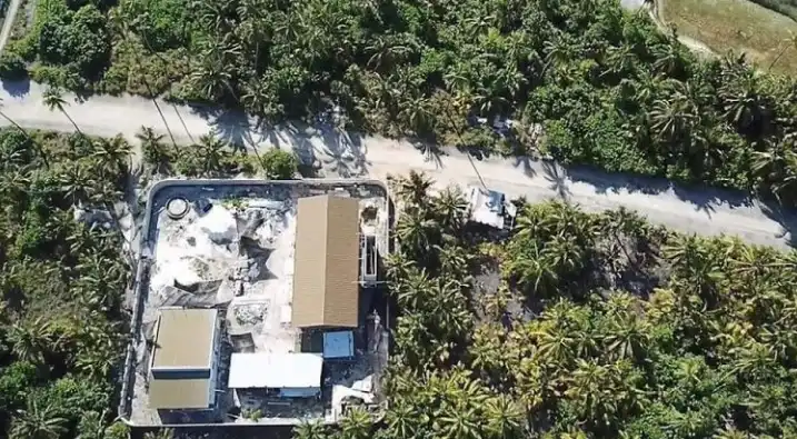 ނަޑެއްލާގެ ގިނަ ރުއްތަކަށް ބައްޔެއް ޖެހި، އެ ރުއްތައް ބަލި ވަނީ