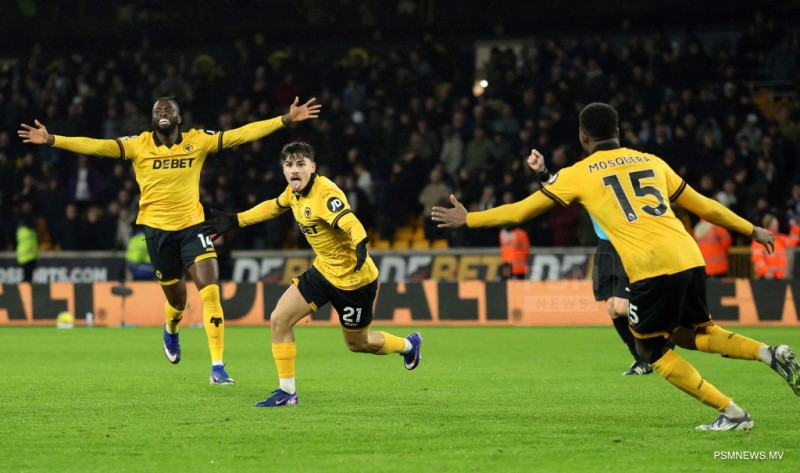 ވޮލްވްސް އަތުން އެސްޓަން ވިލާ ބަލިވެއްޖެ