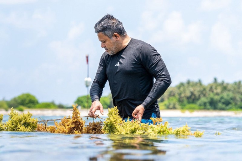 އުއްމީދަކީ ރާއްޖޭގެ މެރިކަލްޗާ ސިނާއަތް، ބިލިއަނުން ރުފިޔާ ލިބޭ ވަރަށް ތަރައްގީކުރުން: ޝިޔާމް