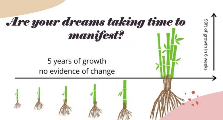 ކެތްތެރިކަމުގެ މޭވާ: ޗައިނާގެ އޮނު ގަހުން ލިބިދޭ ފުން ފިލާވަޅެއް